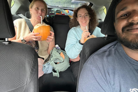 Sri Lanka: 10-Day Wildlife, Culture & Scenic Adventure