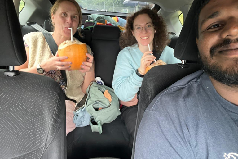 Sri Lanka: 10-Day Wildlife, Culture & Scenic Adventure