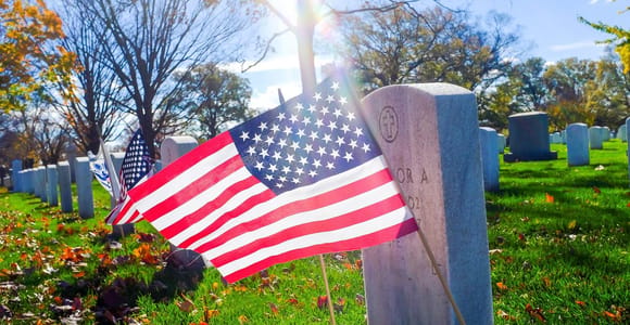 Arlington Cemetery & Wachablösung Halbprivate Tour für 12 Personen