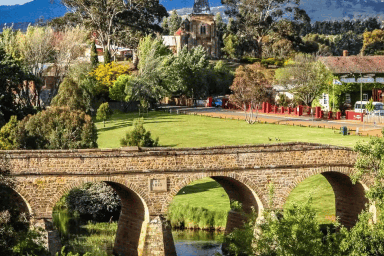 Hobart : Excursion à terre avec sanctuaire de la faune et déjeuner