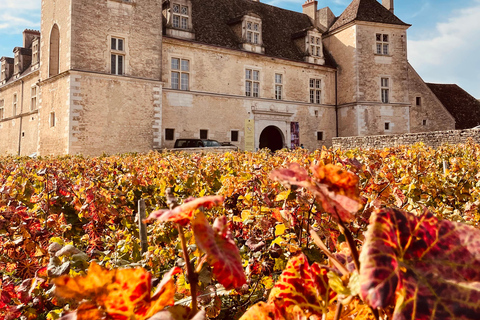 Côte de Nuits: 2h30 excursion among the vines