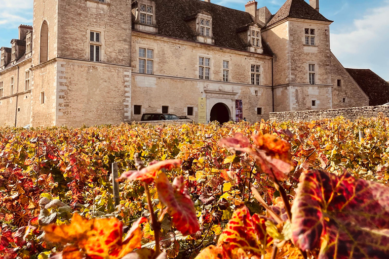 Côte de Nuits: 2h30 excursion among the vines