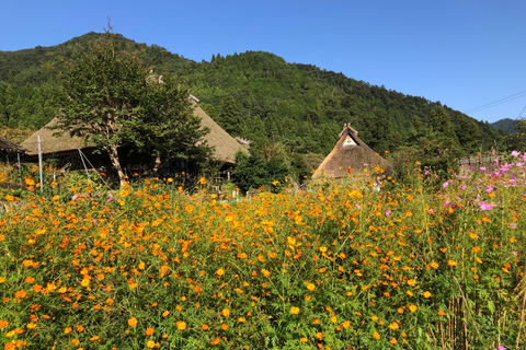 From Osaka: Amanohashidate, Ine Bay, and Miyama Day Trip From Osaka: Amanohashidate, Ine Bay, and Miyama Day Trip