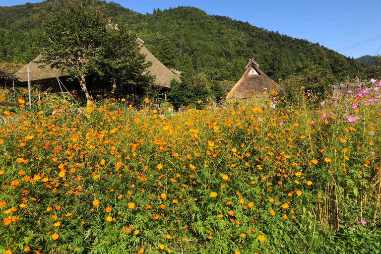 From Osaka: Amanohashidate, Ine Bay, and Miyama Day Trip From Osaka: Amanohashidate, Ine Bay, and Miyama Day Trip