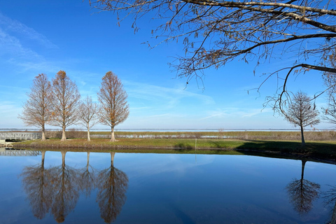 Kissimmee: Self-Guided Lakefront Tour on Electric Bike