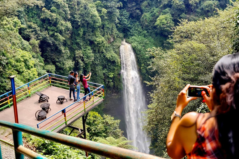 Jakarta: Bandung Waterfall, Dusun Bambu & Tea Tour From Jakarta : Private Bandung Tour