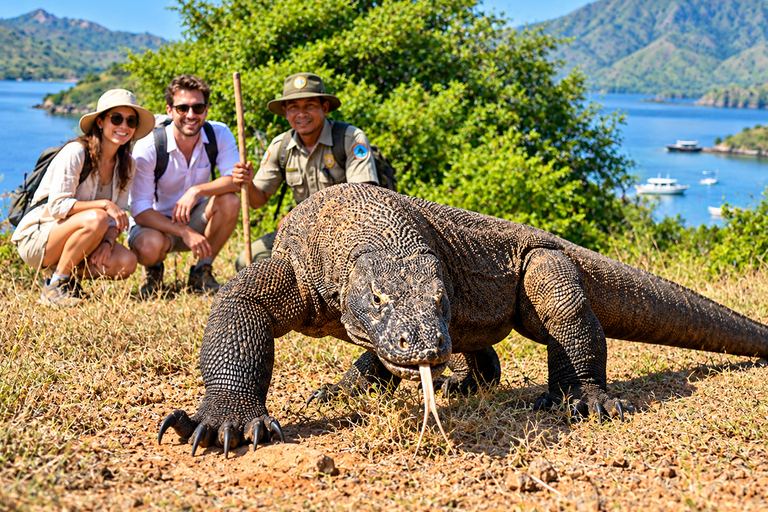 Day Trip to Komodo with Luxury Boat Dragon Guarantee & Drone