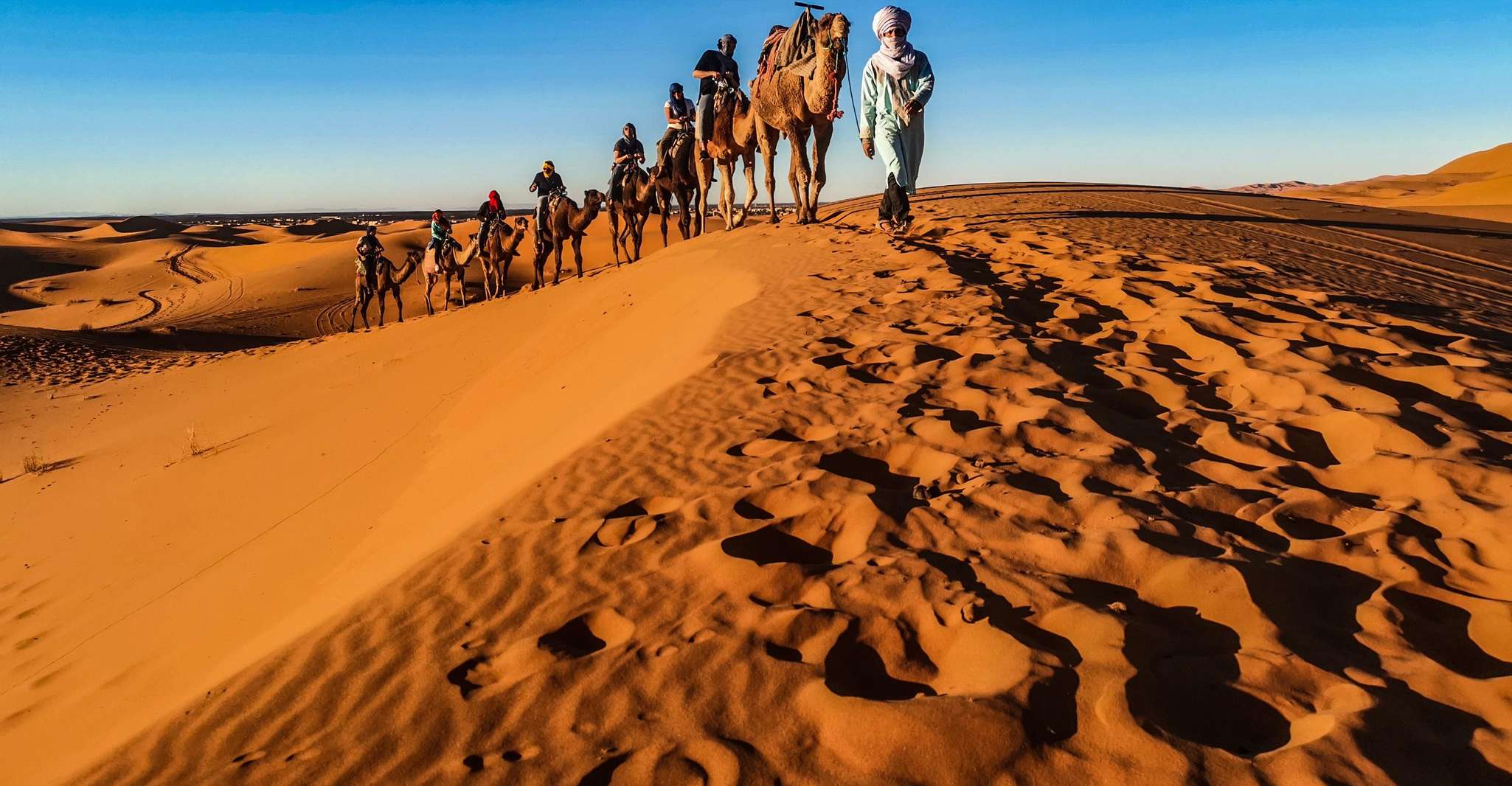 Doha: Quad Bike, Dune Bashing, Camel Ride & Inland Sea Tour photo 9