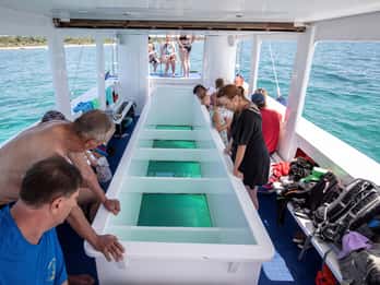 Medulin: Glass Boat Tour Experience to Kamenjak