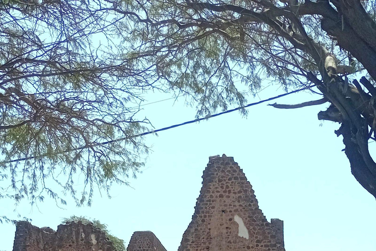 From Praia: Guided tour of Praia, Rua d'Arte & Cidade Velha. Private: Guided tour of Praia, Rua d'Arte & Cidade Velha.