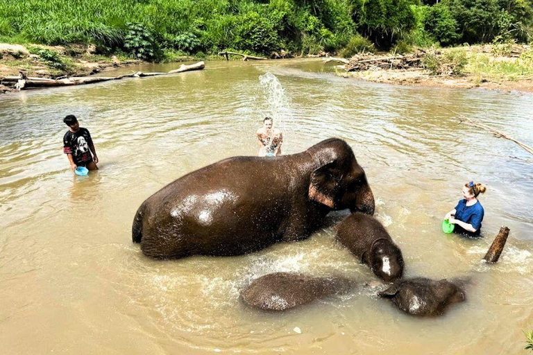 Chiang Mai: Living Green Elephant Sanctuary & Intanon Hiking Chiangmai: Elephant Sanctuary & Inthanon Hiking