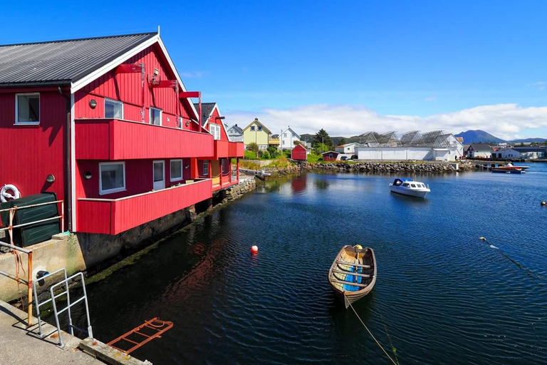 Molde - Get a feeling of the Atlantic Ocean