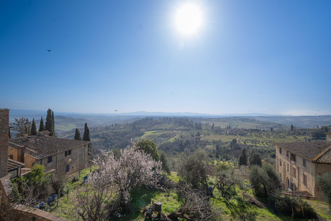 Florence: Tuscany 1-Day Flexible Sightseeing Bus Tour