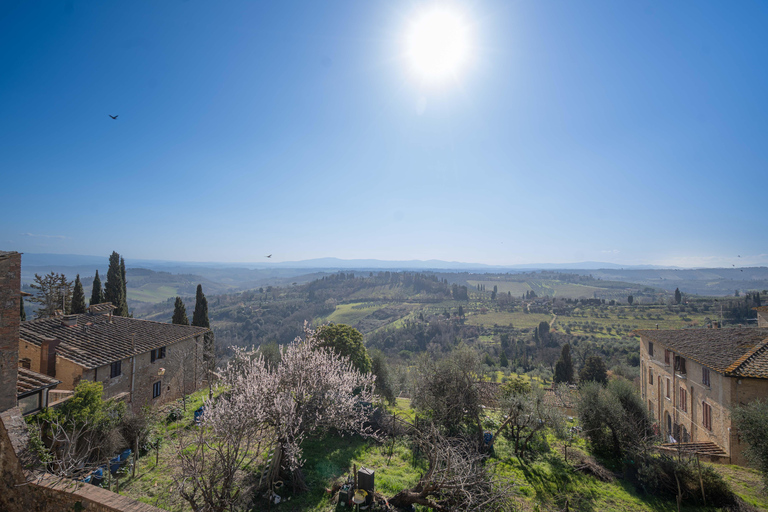 Florence: Tuscany 1-Day Flexible Sightseeing Bus Tour