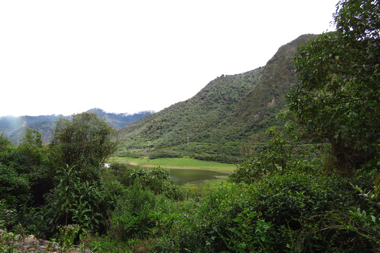 Quito: Dagsutflykt till Papallacta Hot springs och området