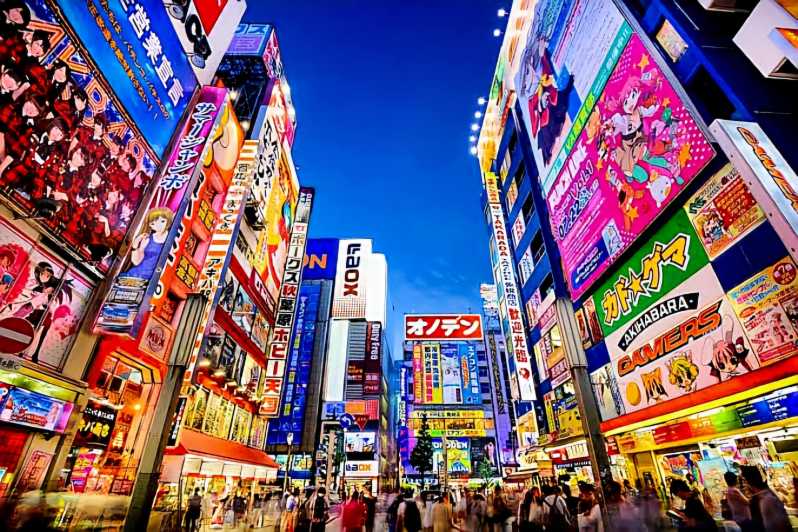 Ganztägige private Tour durch Tokio mit englischem Guide