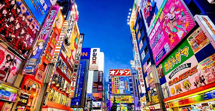 Tokio: cjelodnevni privatni izlet s vodičem na engleskom jeziku