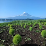 From Tokyo: Mount Fuji Region Private Customizable Day Trip
