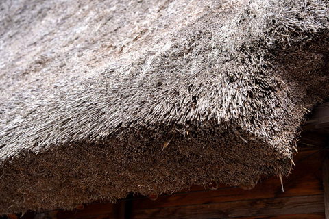 Kanazawa: Shirakawa-go privé-dagtour met lunch