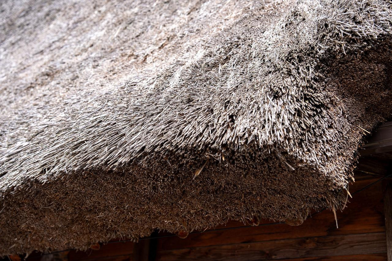 Kanazawa: Shirakawa-go privé-dagtour met lunch