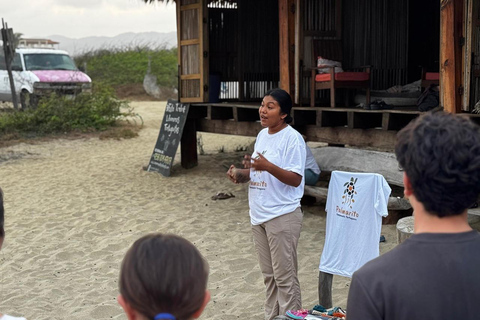 Puerto Escondido: Unforgettable Turtle Release Experience