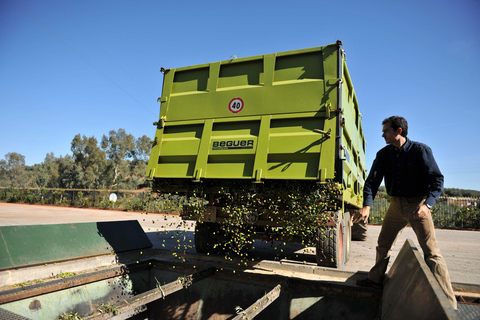 Oro Bailén: Explore the Oil Mill + Tasting Tour of Oro Bailen mill + tasting (French)