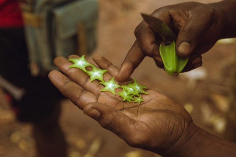 Zanzibar: Excursão à Cidade de Pedra com excursão à fazenda de especiarias em ZanzibarZanzibar: Excursão à Cidade de Pedra em Zanzibar