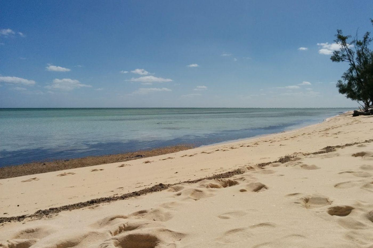 Nassau Bucket List: Private Full-Day Exploration Tour