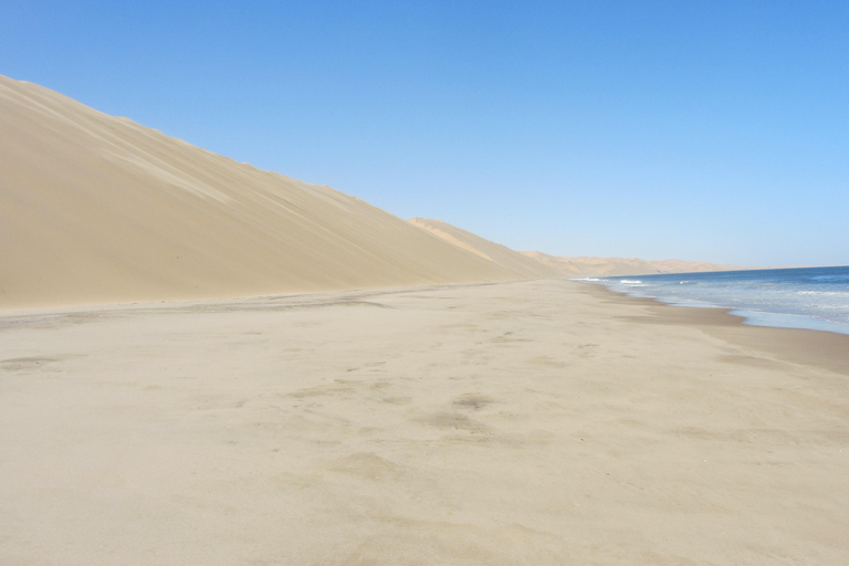 Dkphin &amp; Seal guidad kryssning Sandwich Harbour dune tour