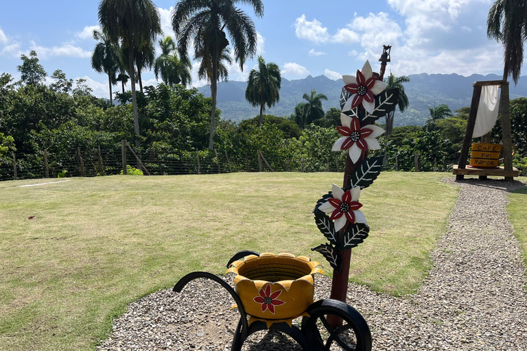 Country Coffee Farm Tour with Tasting and Lunch