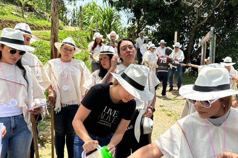 Coffee and Exotic Fruit Tour from Medellín with Lunch Coffee and Exotic Fruit Tour from Medellín with Lunch.