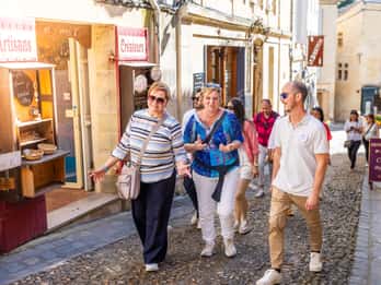 From Bordeaux: Saint-Emilion Guided Wine Tasting Tour