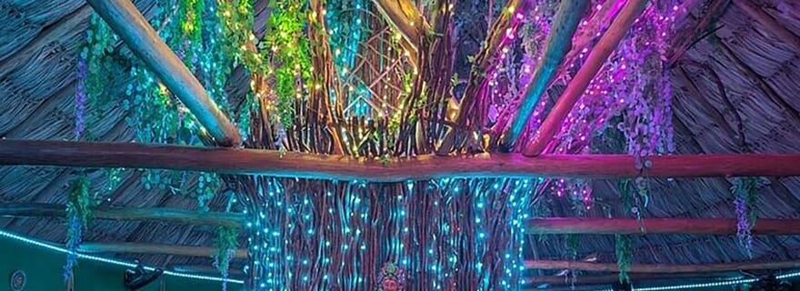 Billet pour l'expérience du dîner maya