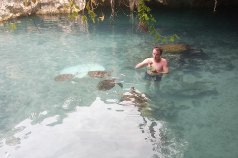 JOZANI FOREST/SEA TURTLE SANCTUARY/MTENDE BEACH