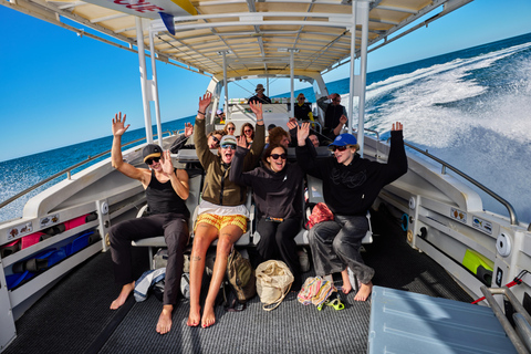 Von Cairns aus: Great Barrier Reef Halbtagestour zum Schnorcheln