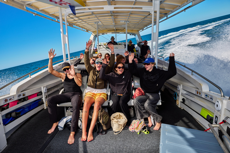 Vanuit Cairns: Snorkeltour Great Barrier Reef halve dag