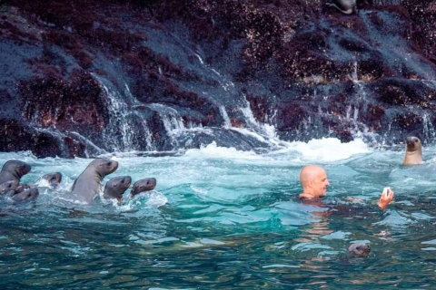 Excursion to Palomino Island | Entrance, sea lions |