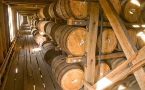 Nashville: Jack Daniel Distillery Day Trip with Tastings