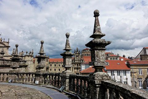 Vigo: Santiago de Compostela Guided Tour with Cathedral