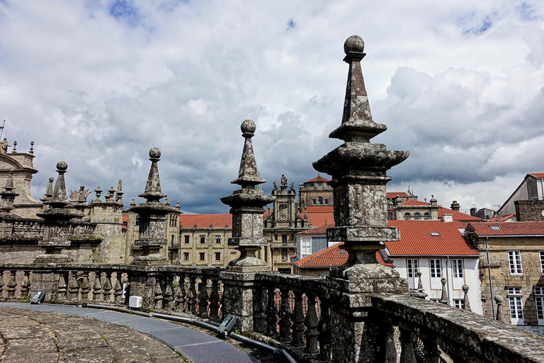 Vigo: Santiago de Compostela Guided Tour with Cathedral