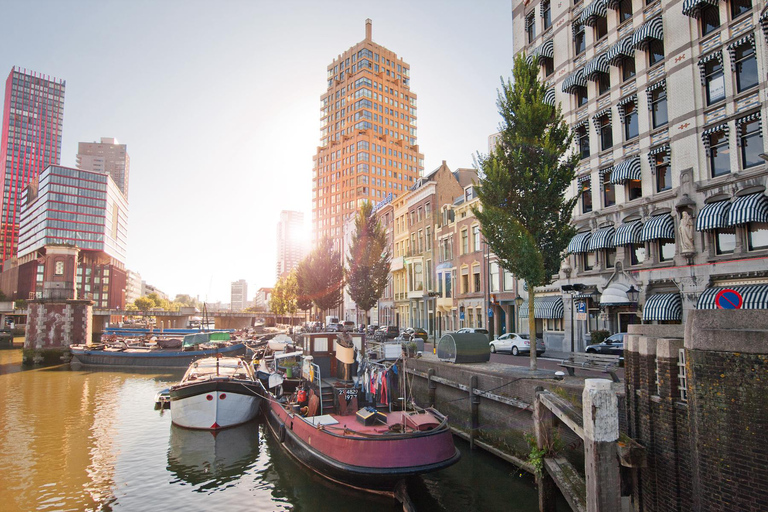 From Amsterdam: Private day trip to Rotterdam and back