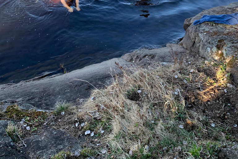Lake Langen Sauna Experience