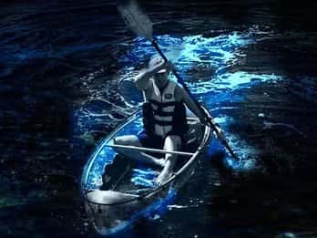 Cocoa Beach: Wycieczka kajakowa z obserwacją bioluminescencji