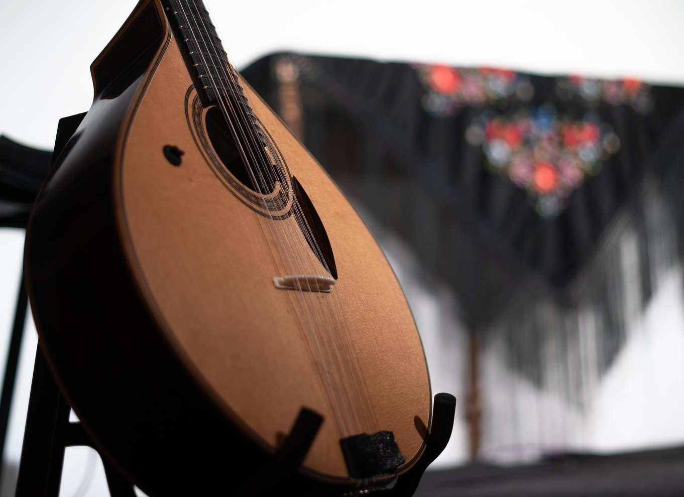 Porto: Hvad er fado? Livekoncert med kommentarer og portvin