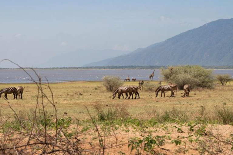 Arusha: Day Trip to Arusha National Park