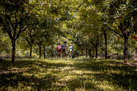 Z Huatulco: Egzotyczny ogród w ekoturystycznym ranczu i wizyta w punkcie widokowym.Z Huatulco: Egzotyczny ogród w ekoturystycznym ranczu i wizyta w punkcie widokowym