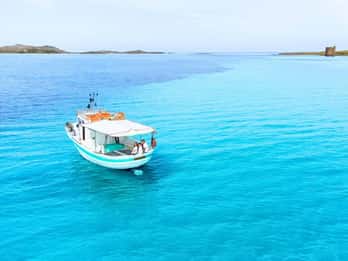 Vanuit Stintino: rondvaart met een vissersboot in het Asinara-park