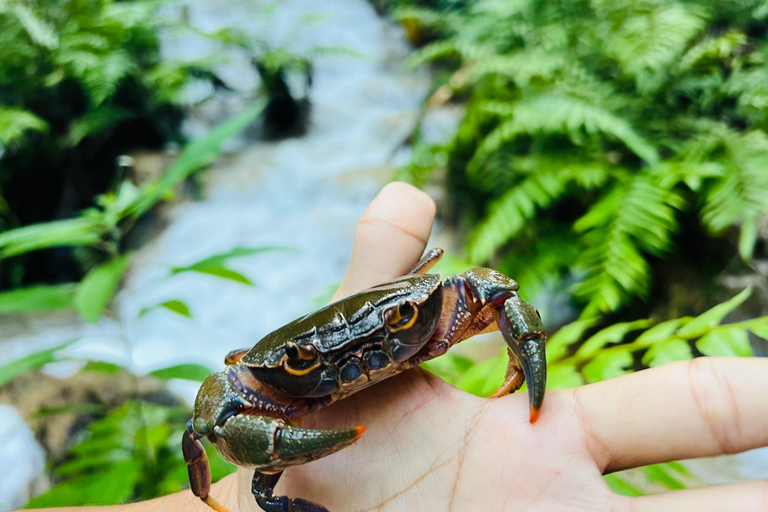 Chiang Rai: The Adventure of Trekking & Bamboo Cooking