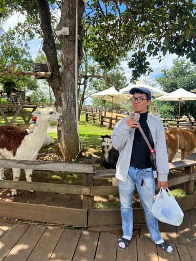 Galería de fotos para redes