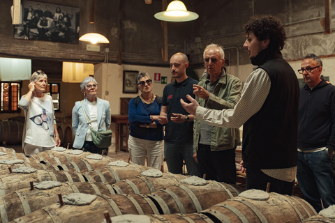 Firenze: caccia al tartufo con pranzo, vino e San GimignanoFirenze: Caccia al tartufo con pranzo, vino e San Gimignano